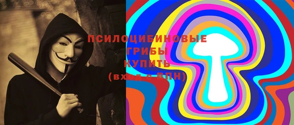 прущие грибы Лабытнанги