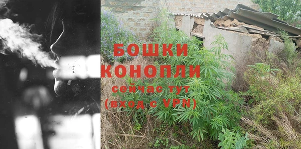 прущие грибы Лабытнанги