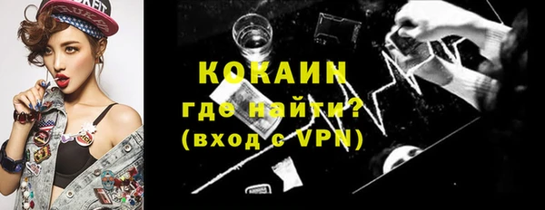 прущие грибы Лабытнанги