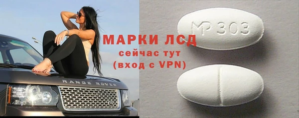 прущие грибы Лабытнанги