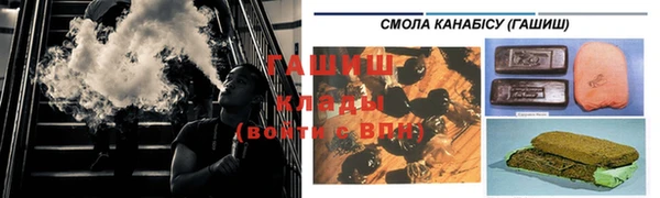 прущие грибы Лабытнанги