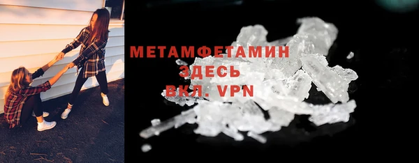 прущие грибы Лабытнанги