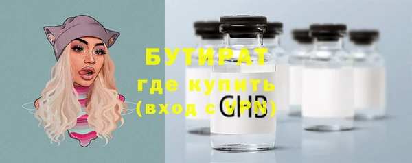 прущие грибы Лабытнанги