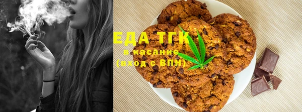 прущие грибы Лабытнанги