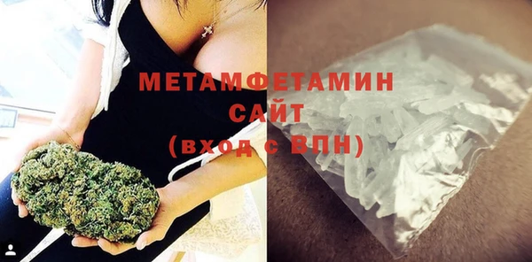 прущие грибы Лабытнанги