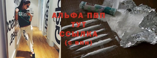 эйфоретик Ладушкин