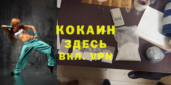 прущие грибы Лабытнанги