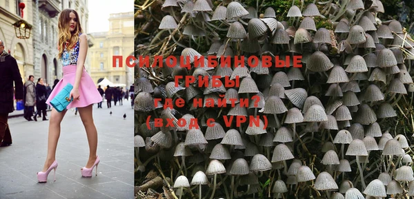 эйфоретик Ладушкин