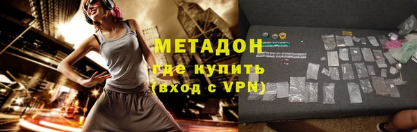 прущие грибы Лабытнанги